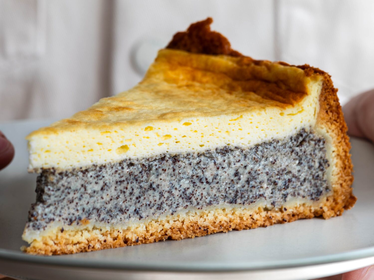Verwunderlich Mohn Kuchen Mit Schmand Bild